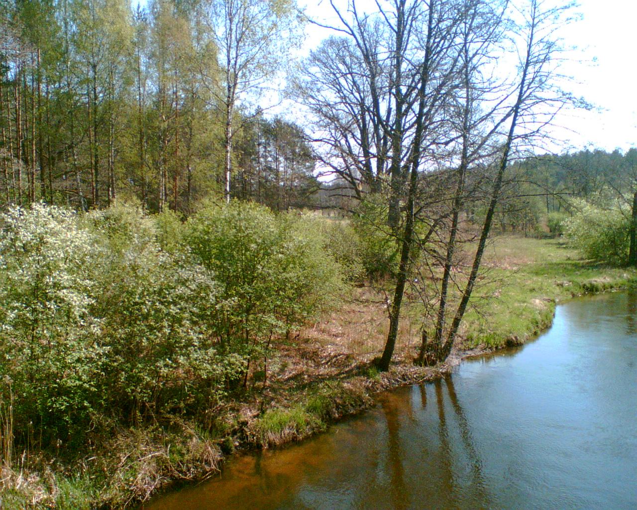Atvaizd048.jpg