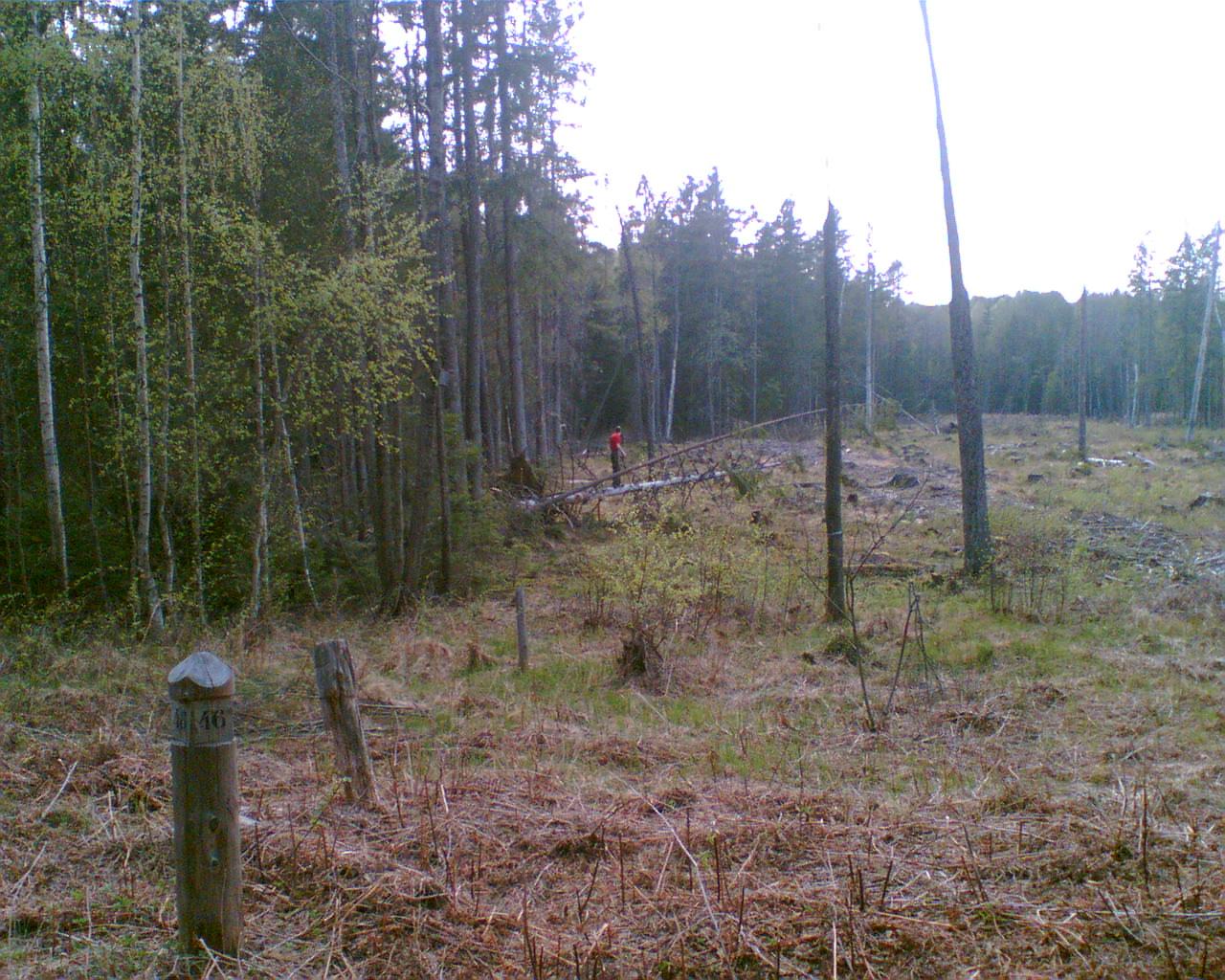 Atvaizd062.jpg