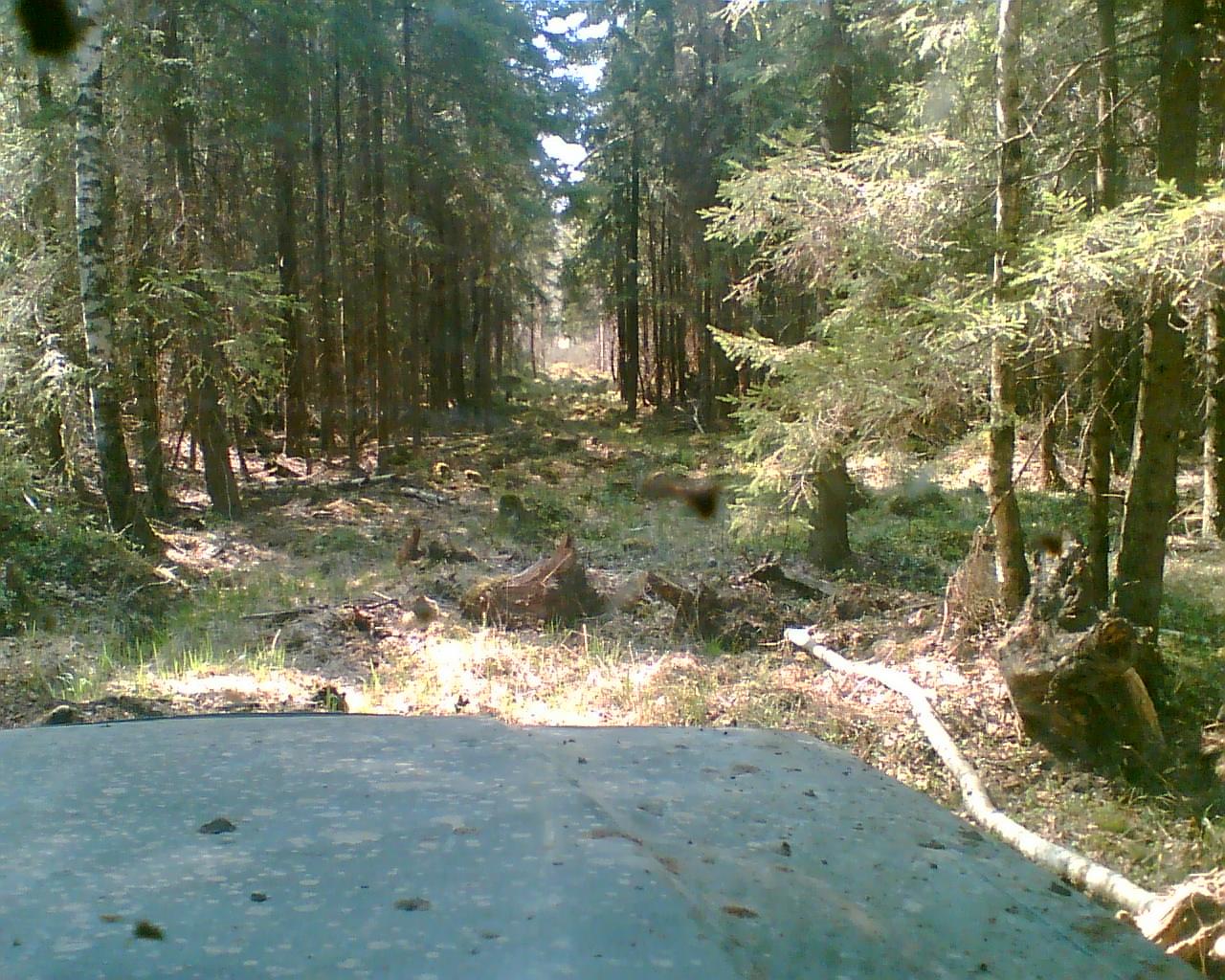 Atvaizd060.jpg
