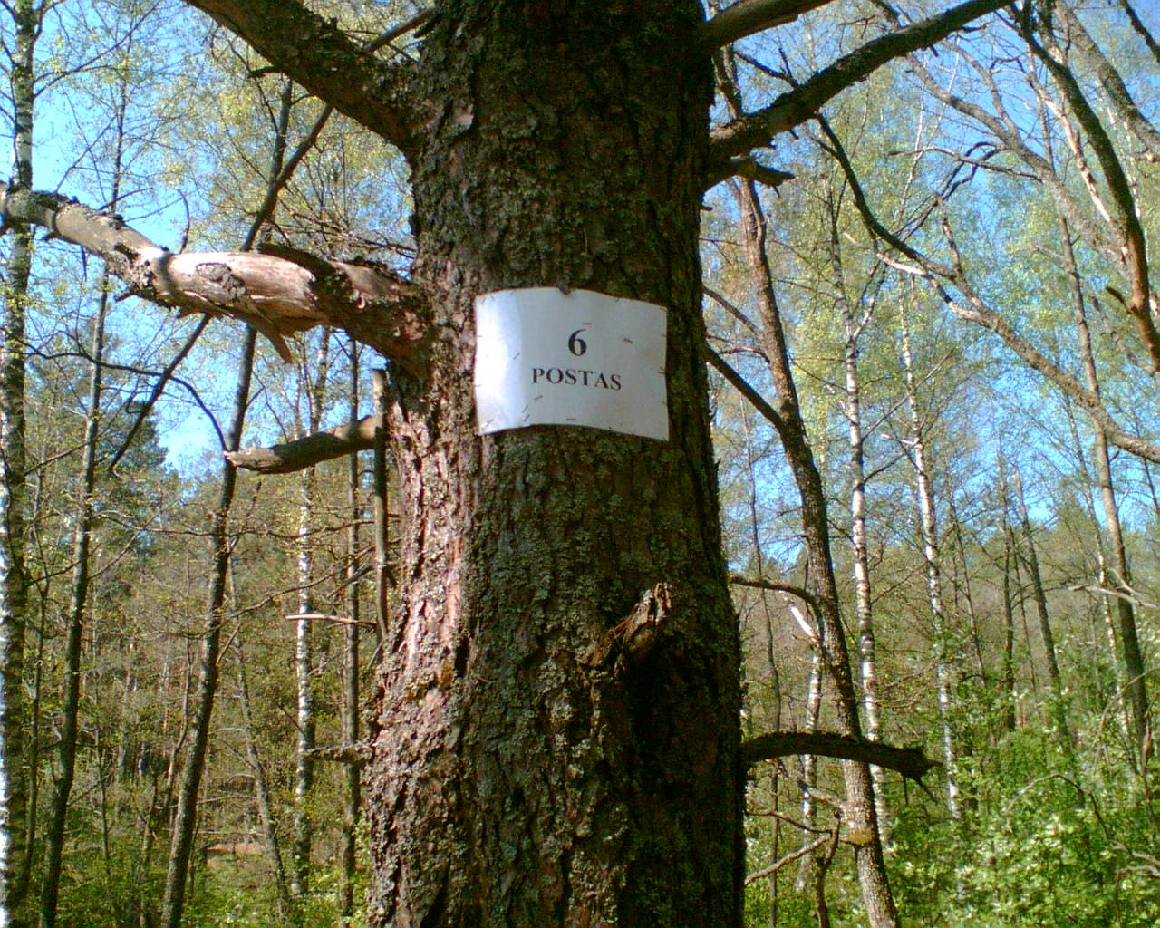 Atvaizd045.jpg