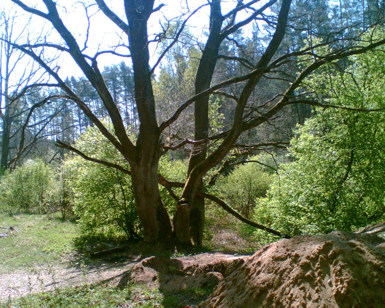 Atvaizd046.jpg