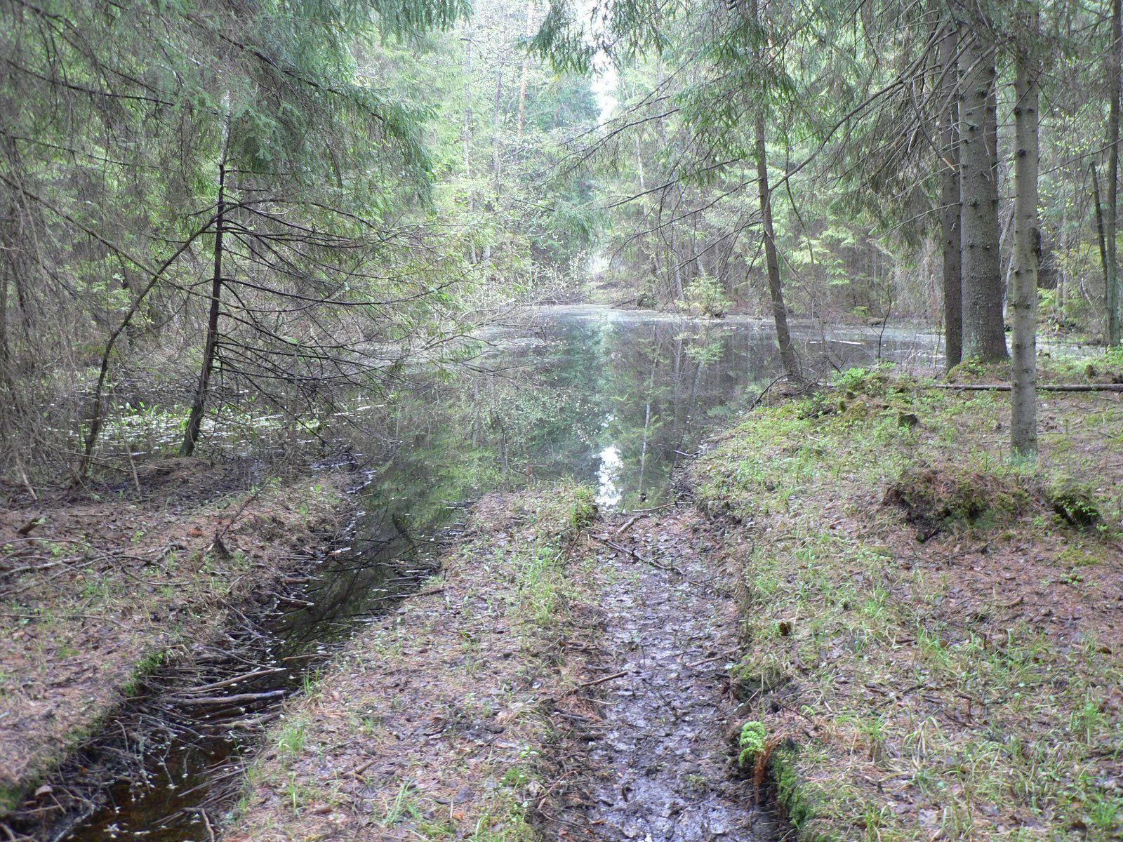 P1010897.JPG