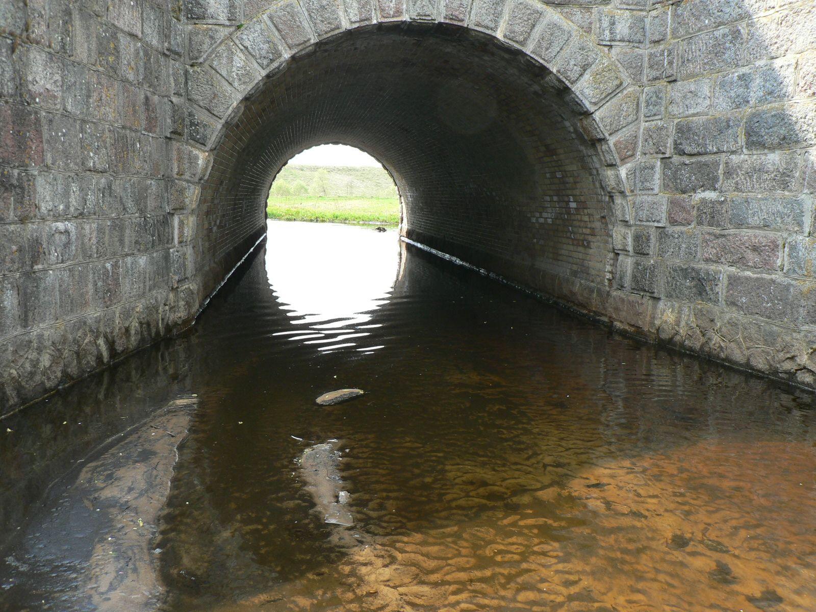 P1010913.JPG