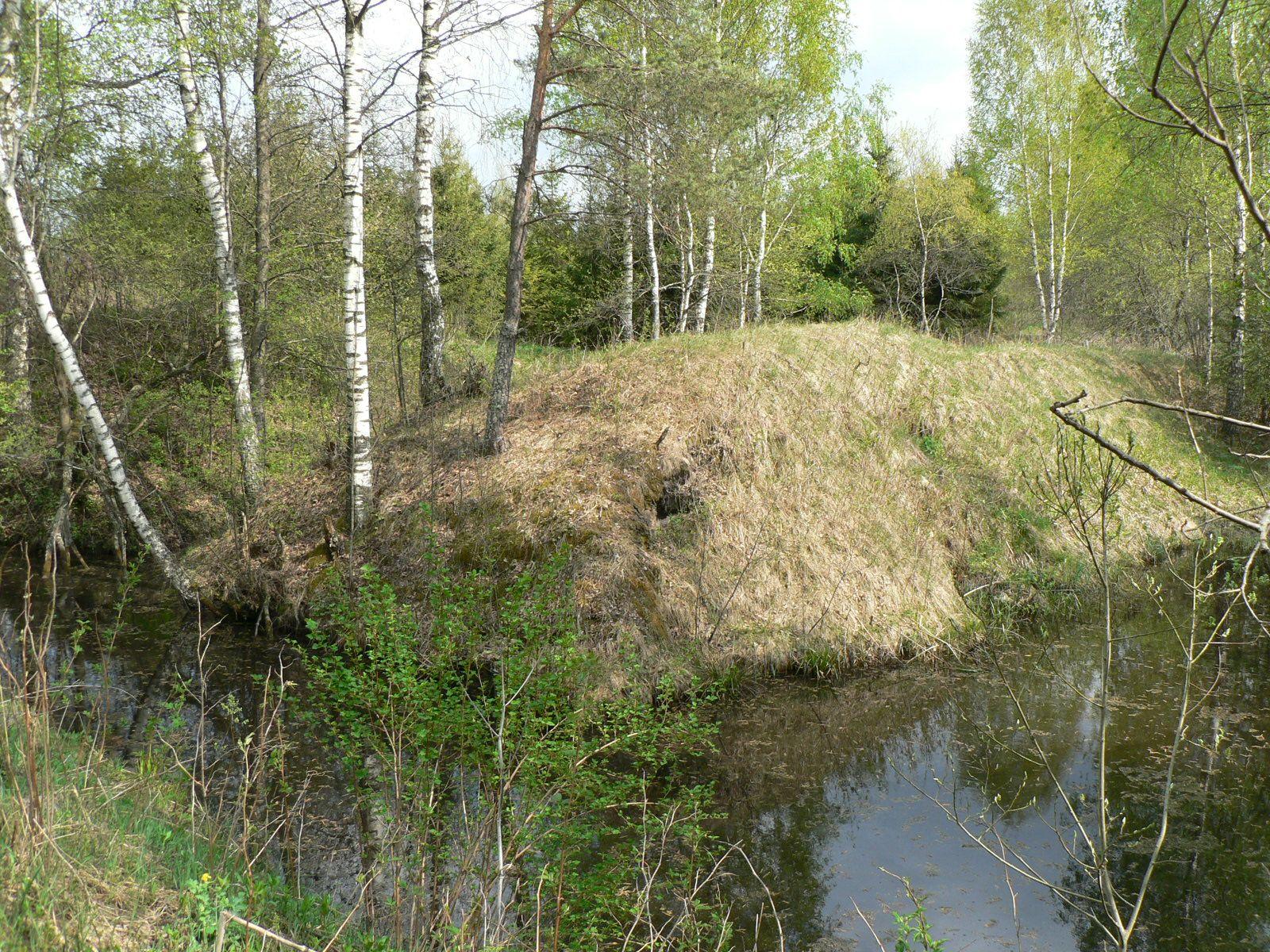 P1010912.JPG