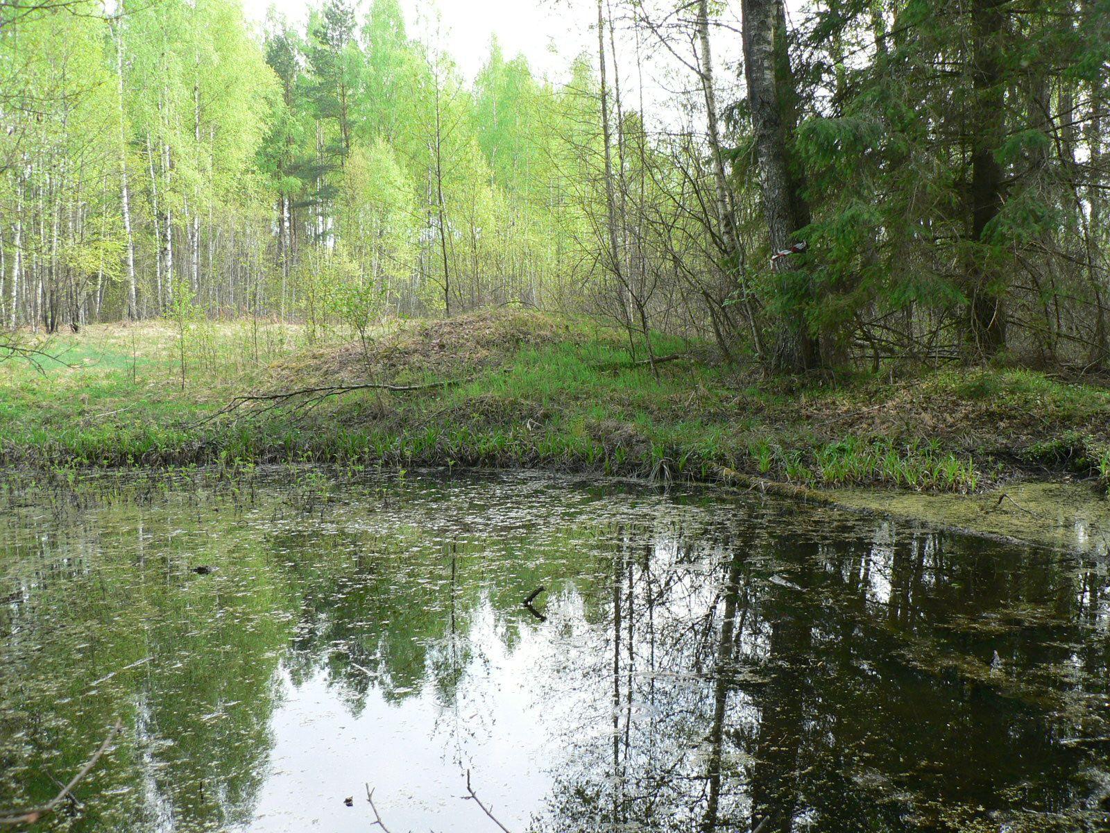 P1010907.JPG