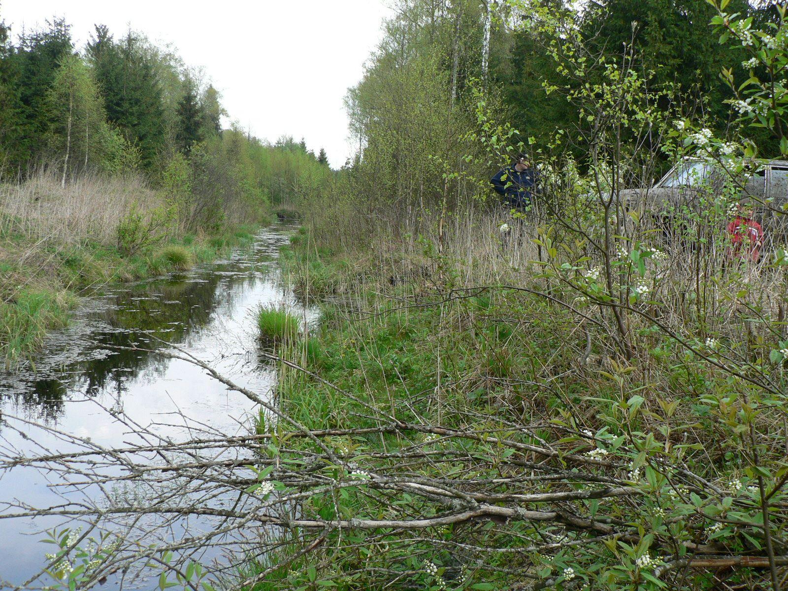 P1010906.JPG