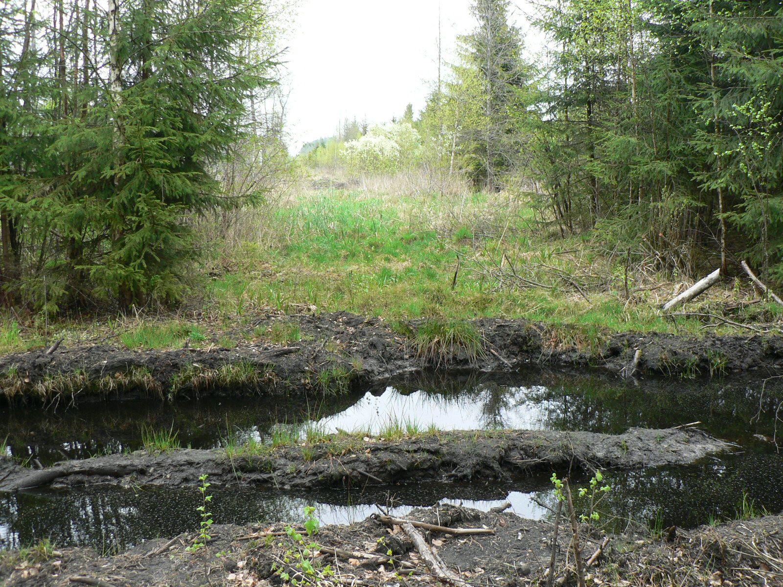 P1010903.JPG