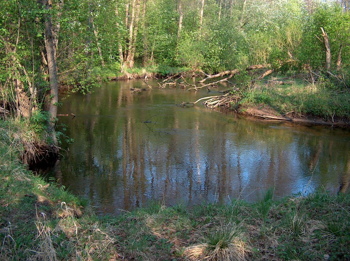 pab06_05_13_087.jpg