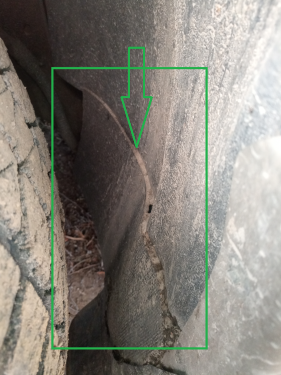 image.thumb.png.6997937a0e8745eca0f1ab91125ab711.png
