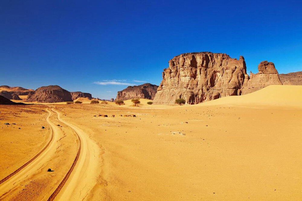 Сахара,_Алжир.jpg